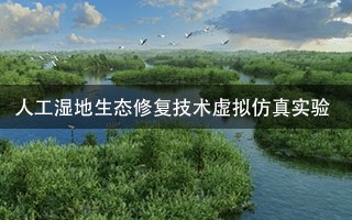 東南大學(xué) 人工濕地生態(tài)修復(fù)技術(shù)虛擬仿真實驗