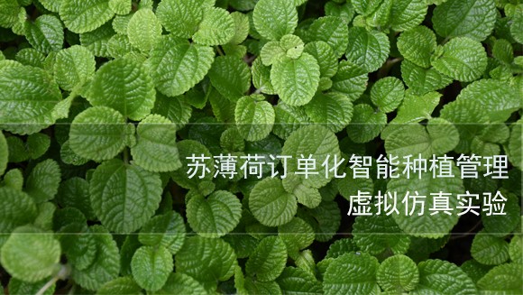 南京中醫(yī)藥大學(xué) 蘇薄荷訂單化智能種植管理虛擬仿真實(shí)驗(yàn)