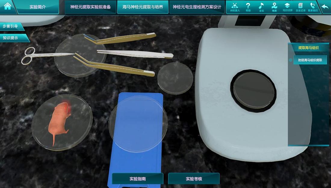 案例分享|腦神經(jīng)元網(wǎng)絡(luò)電信號微電極采集與分析虛擬仿真實驗